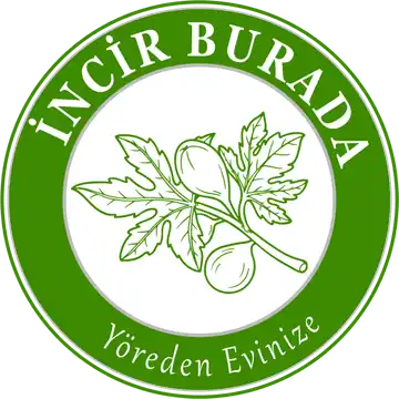 İncirburada